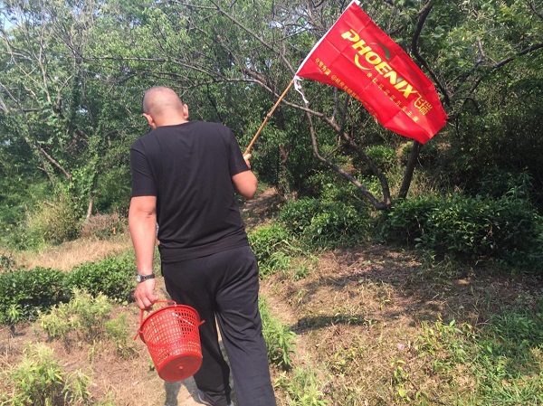 飞瑞电源员工团建之西山一日游-领队